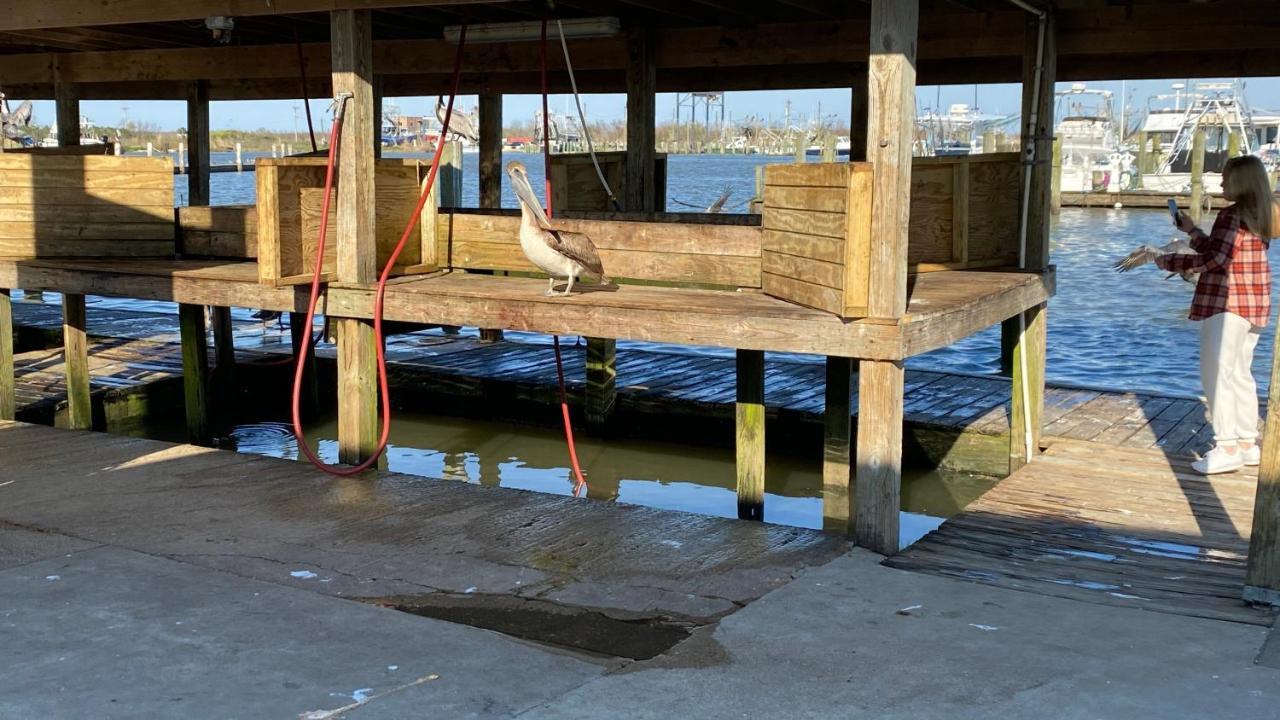 Resort Lodging At Venice Marina W/ Wifi + Private Dock Exterior photo
